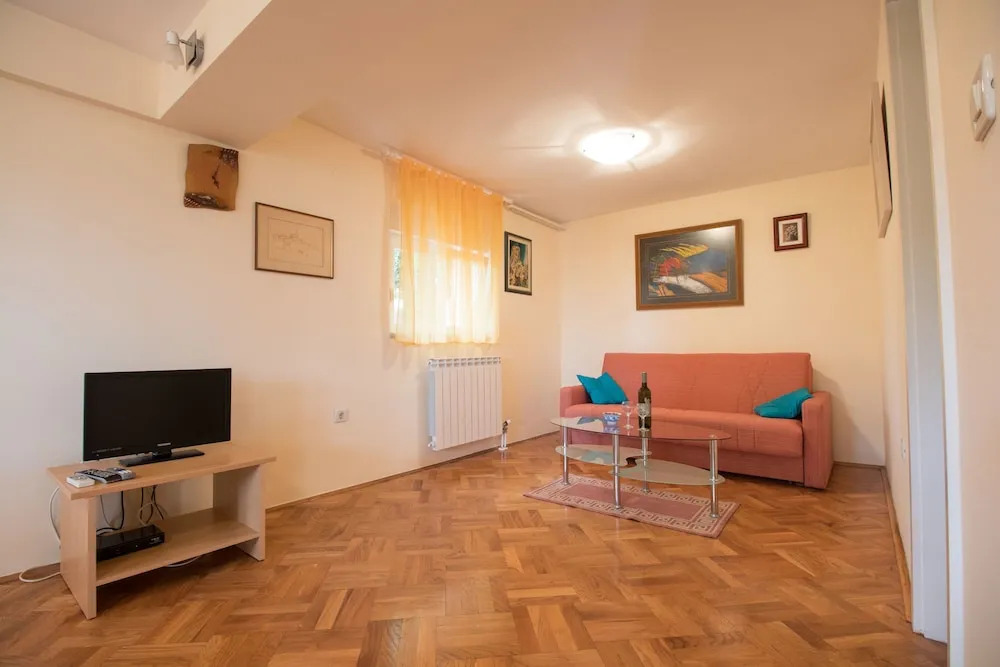 Apartment Visnja
