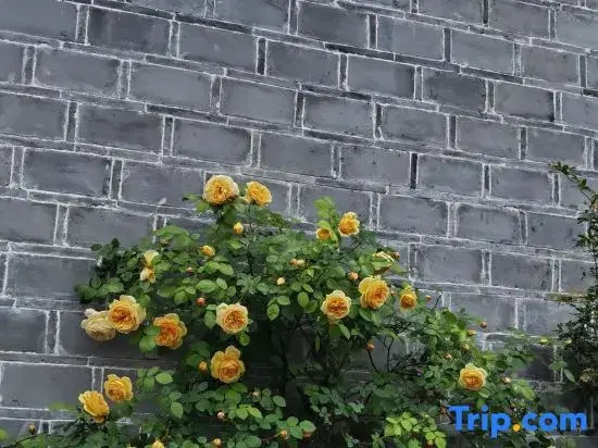 Ning Bo Han Ling Wu Yi Shan Ju Homestay