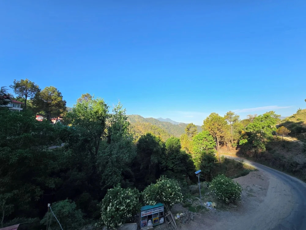 The Wooden Nook Chail
