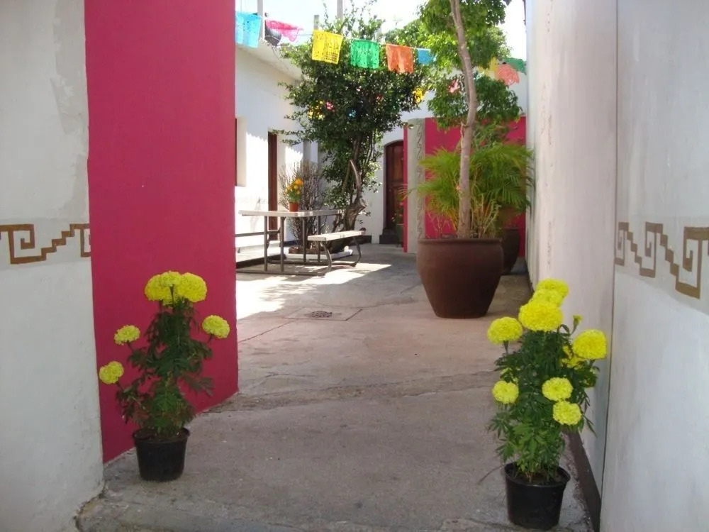 Hotel Posada Yagul