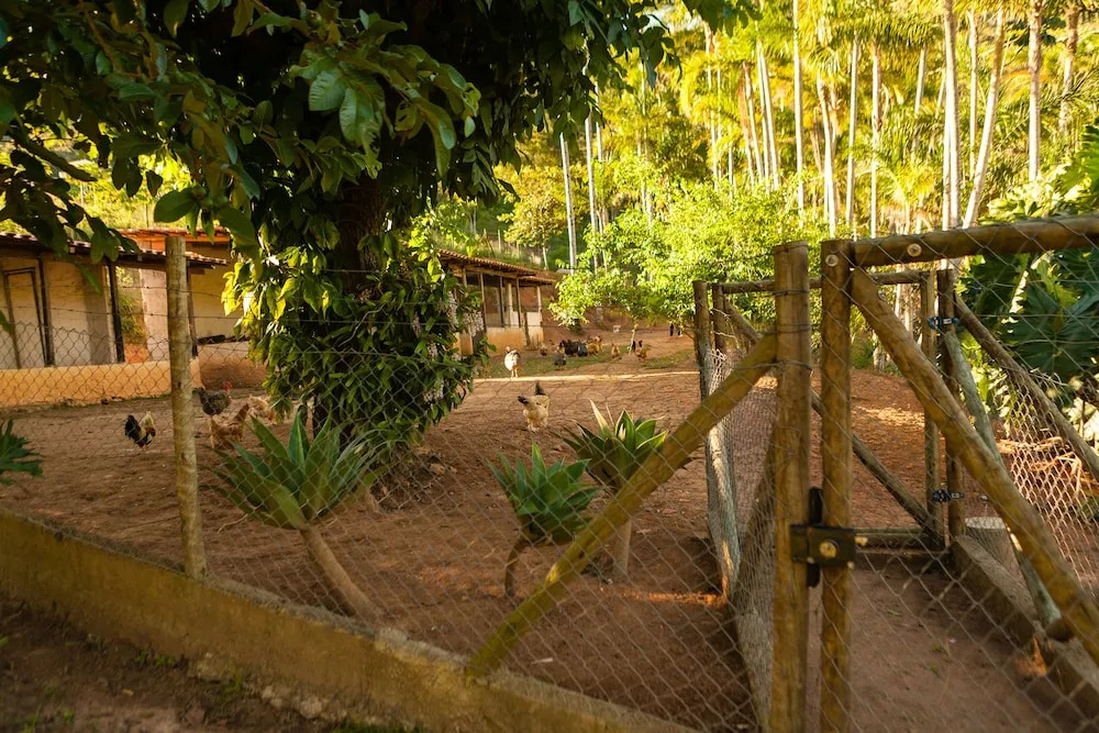 Pousada Verbicaro