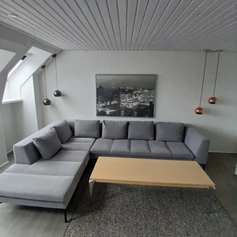 Exclusive Apartment in center