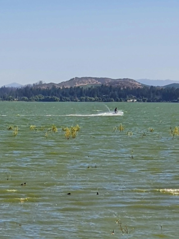 Parcela de 3 hectáreas con orilla de Lago