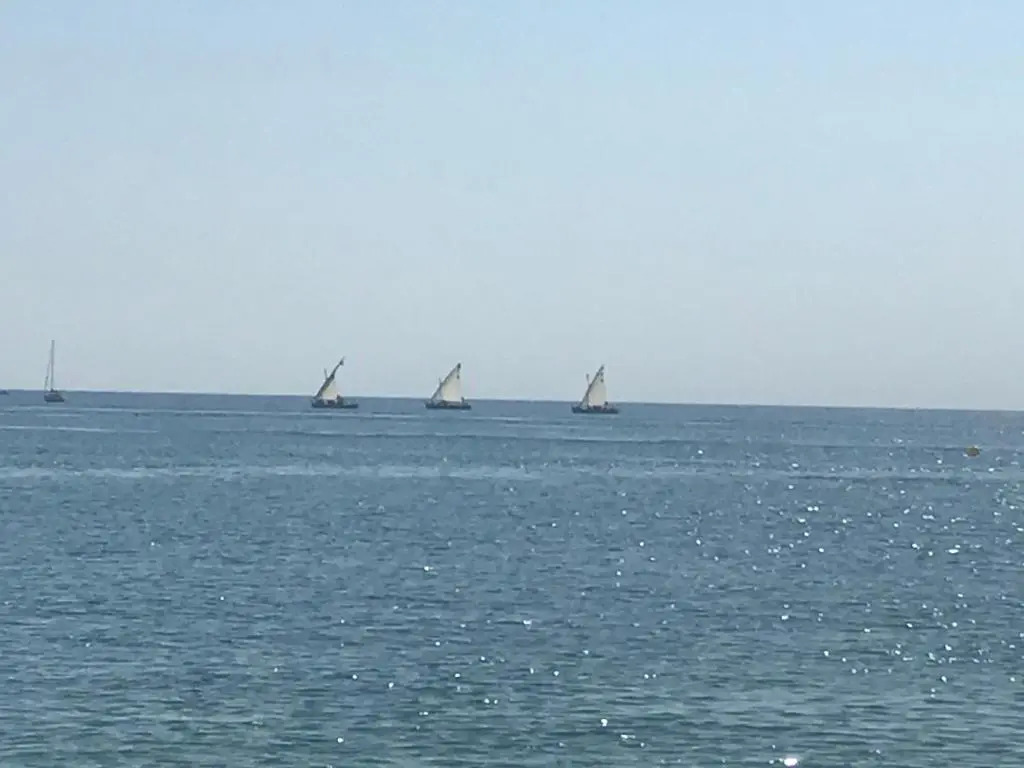 Marendes Des Palombes 2