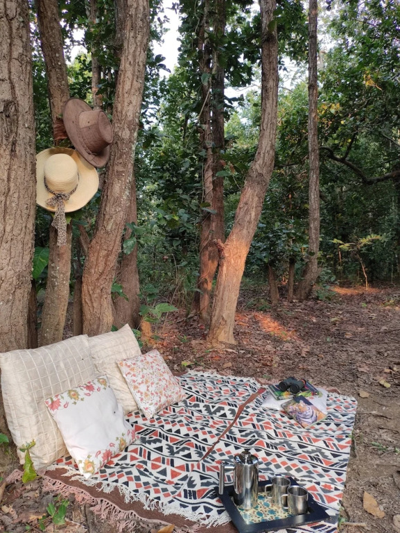 Saccharum Safari Lodge