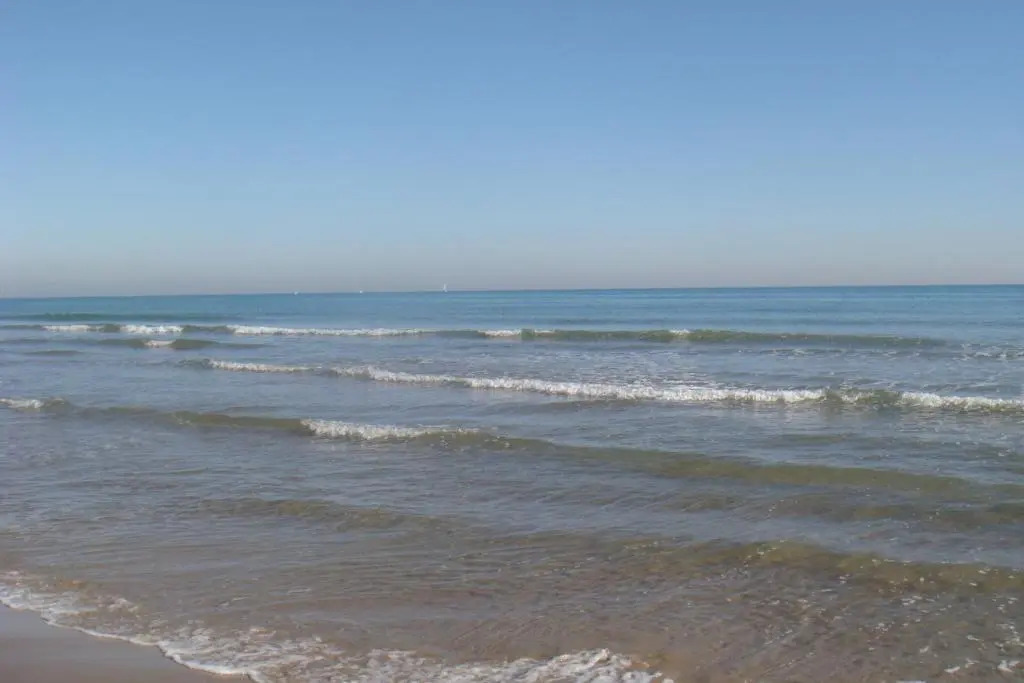 Hotel Playa Canet