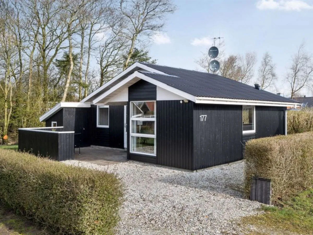 "Marten" - 6.4km from the sea in Western Jutland