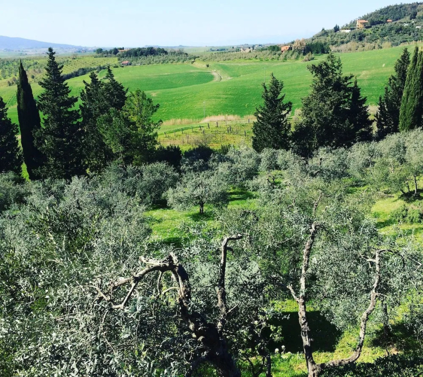 La Locanda del Barbagianni