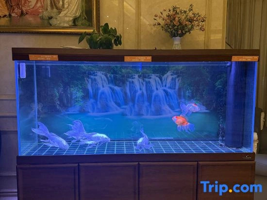 Vienna Hotel (Nandan Dongtian Jiuhai Scenic Area Jinfurong Square Branch)