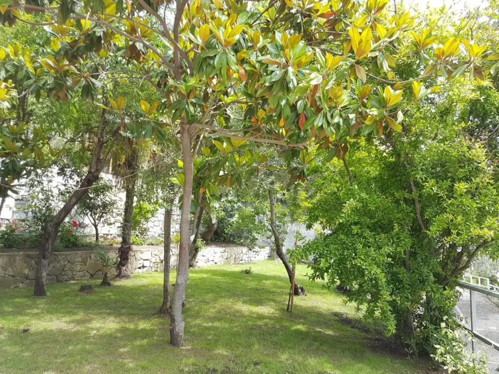 Villetta 5 Terre