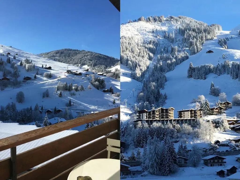 Appartement La Clusaz, 1 pièce, 4 personnes - FR-1-459-62