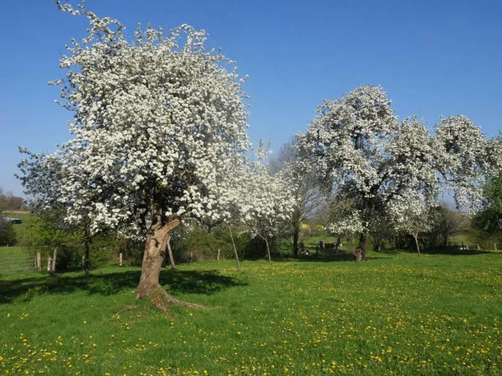 Charmante maison écologique avec jardin clos - FR-1-497-7