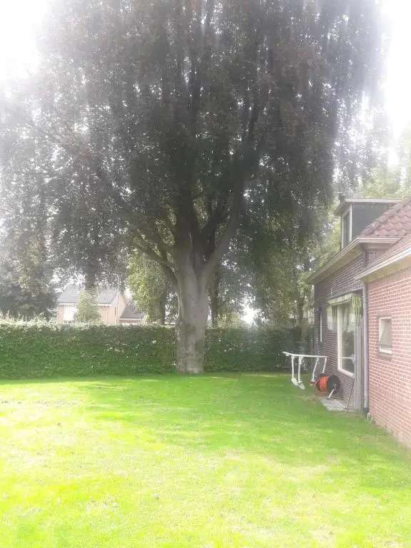 B&B De Keijzer