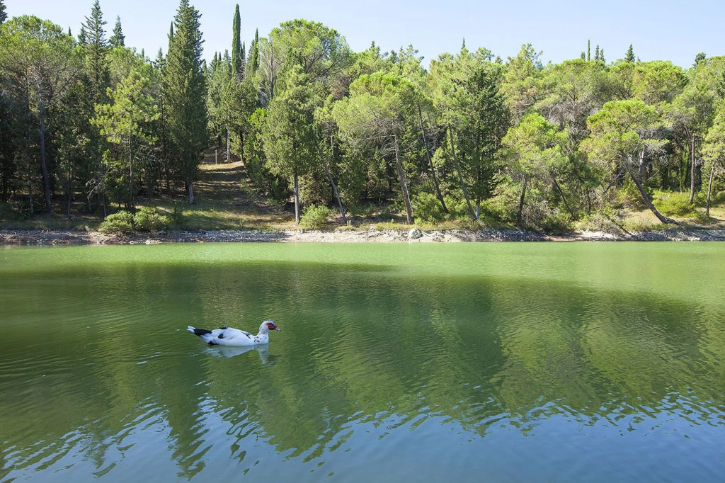 Agriturismo La Presura