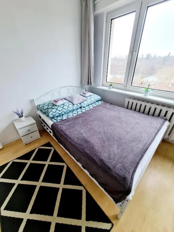 Apartament LAKE z widokiem na jezioro