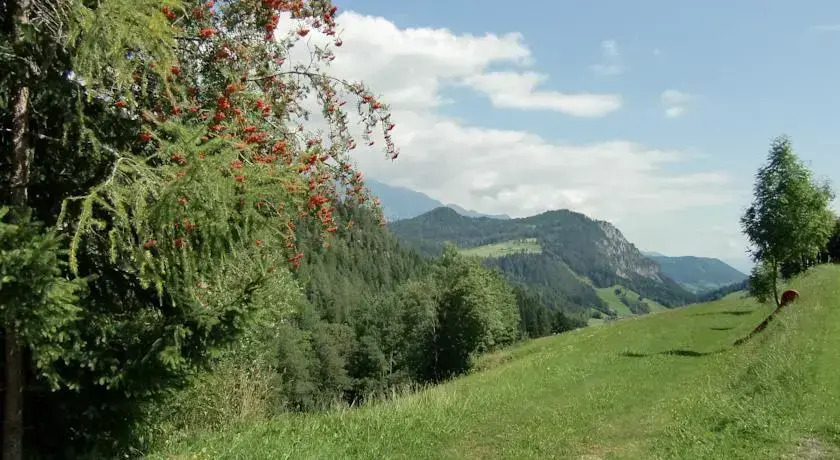 Höllerhof