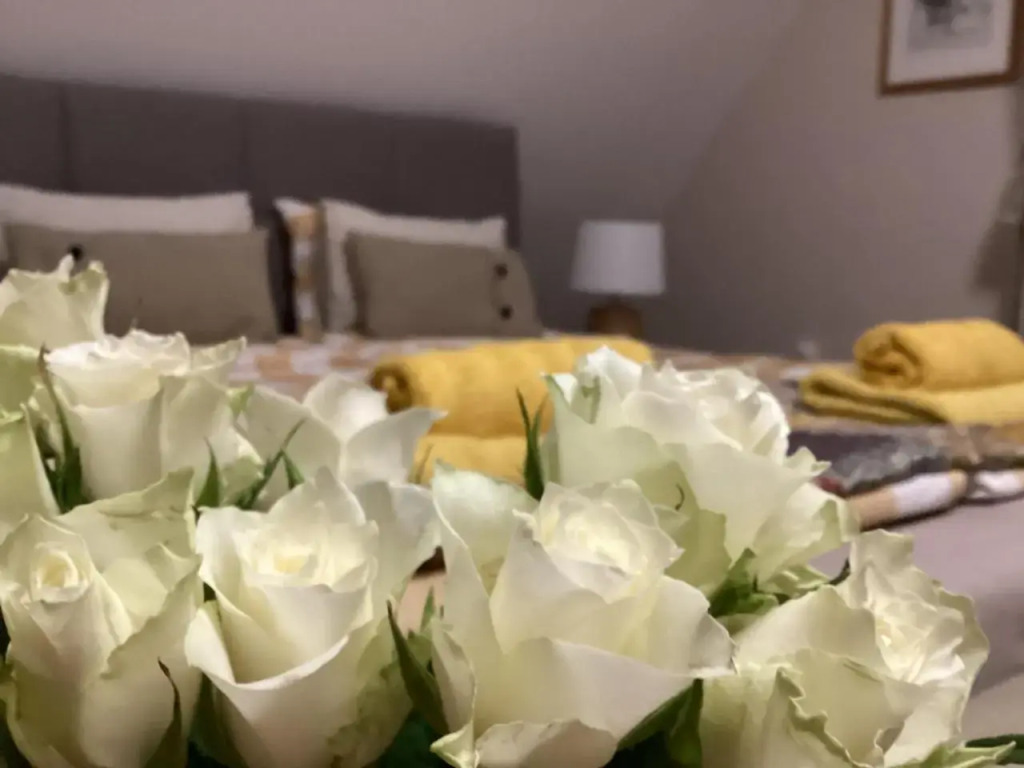Apartments for Rent near Budapest