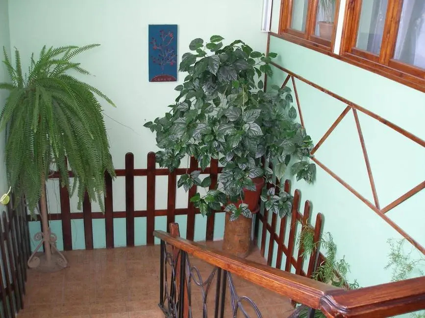 Санако