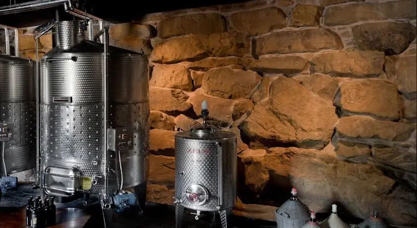 Podere di Pomaio Green Winery