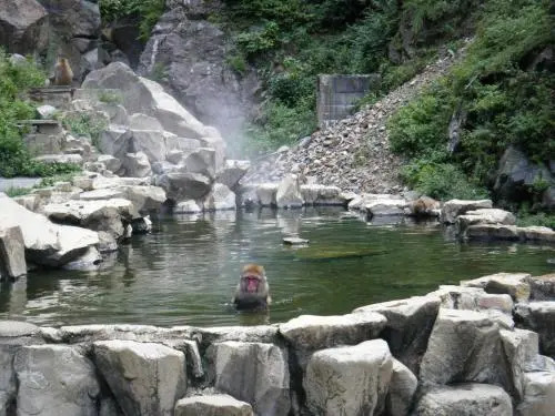 Nagano Farmstay