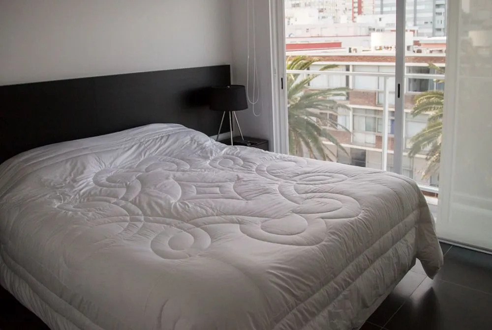 Bonaire Home & Rental