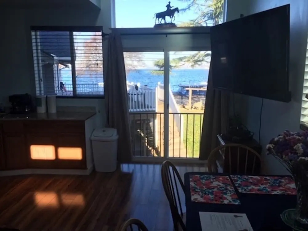 Magpie on Alki