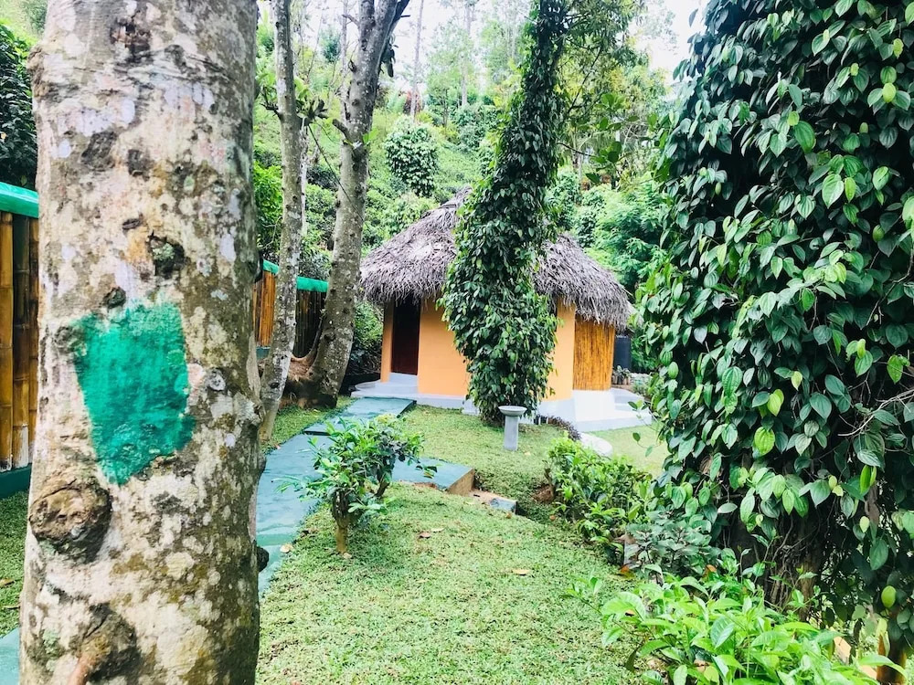 Tea Cabins