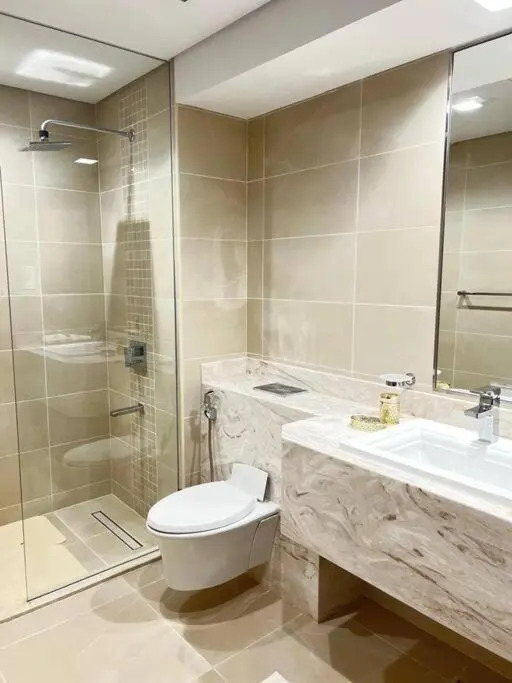 Luxurious apartment