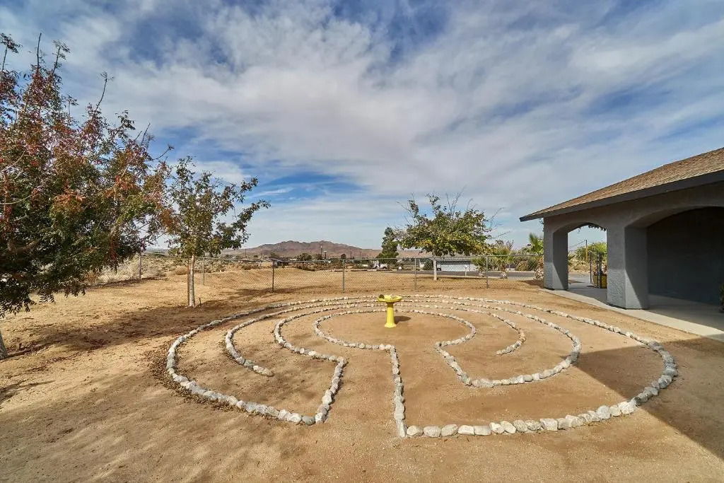 Eclectic Joshua Tree