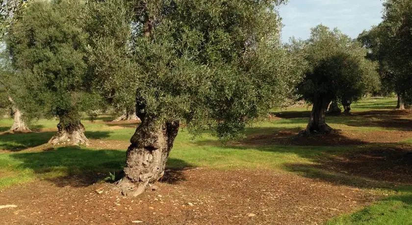 Appartamento in Ostuni