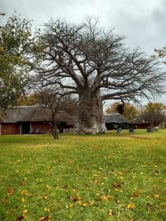 Munati B&B