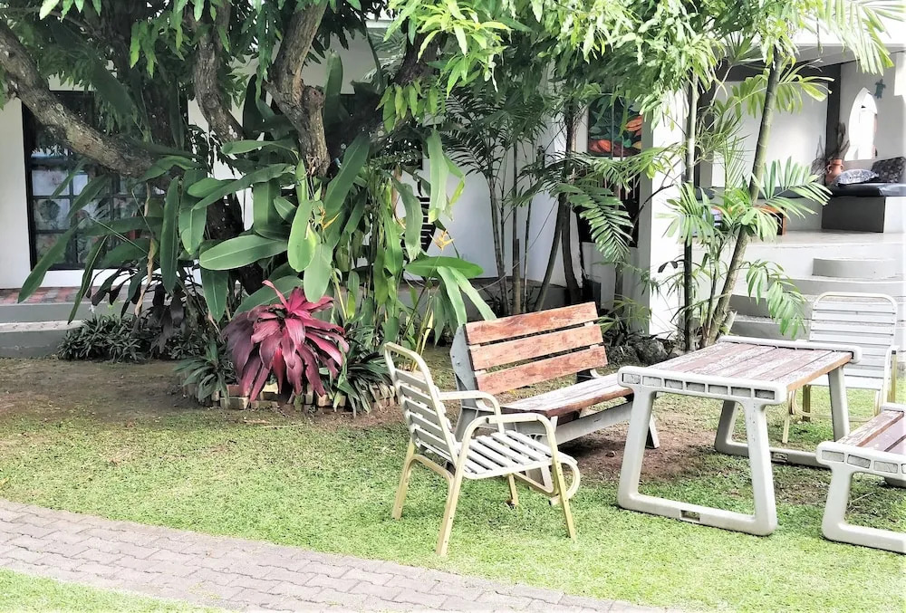 Bananaquit Tobago -Stay Near the Beach