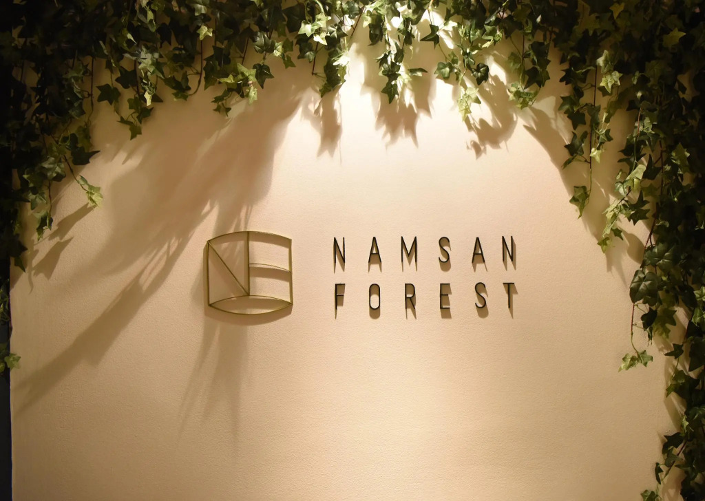 Namsan Forest in Myeongdong