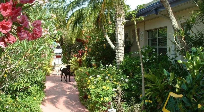 Whispers Resort by Affordable Beach Condos