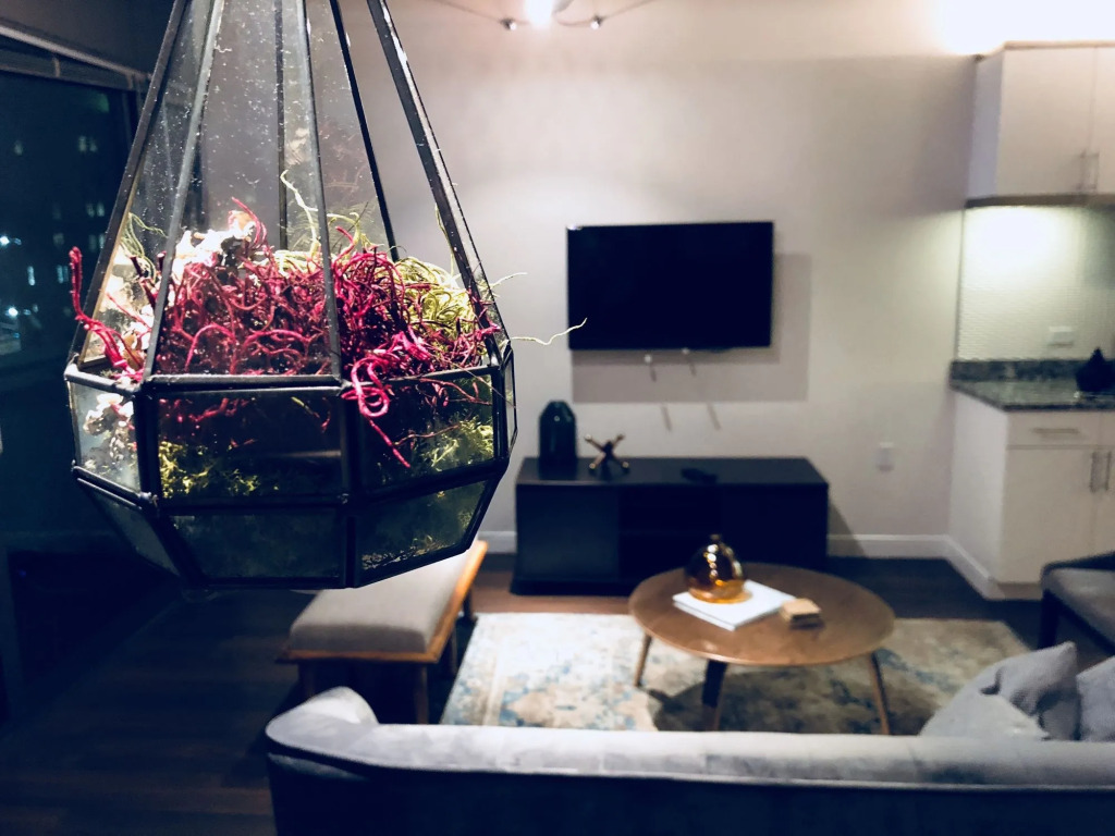New Lyfe Finest Luxury Apartment