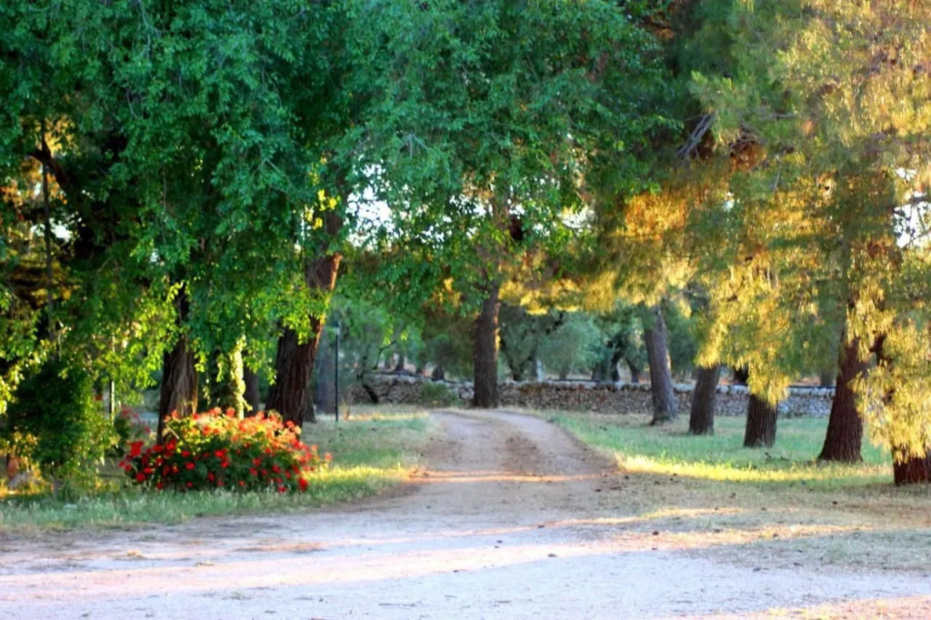 Masseria Gianecchia
