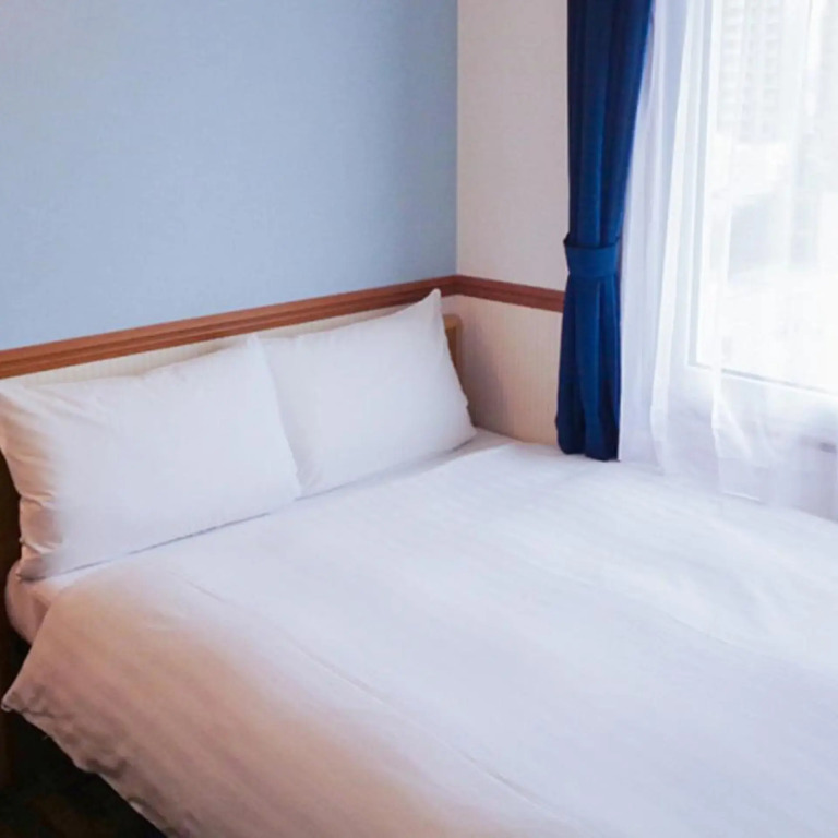 Toyoko Inn Kagoshima Temmonkan No 1