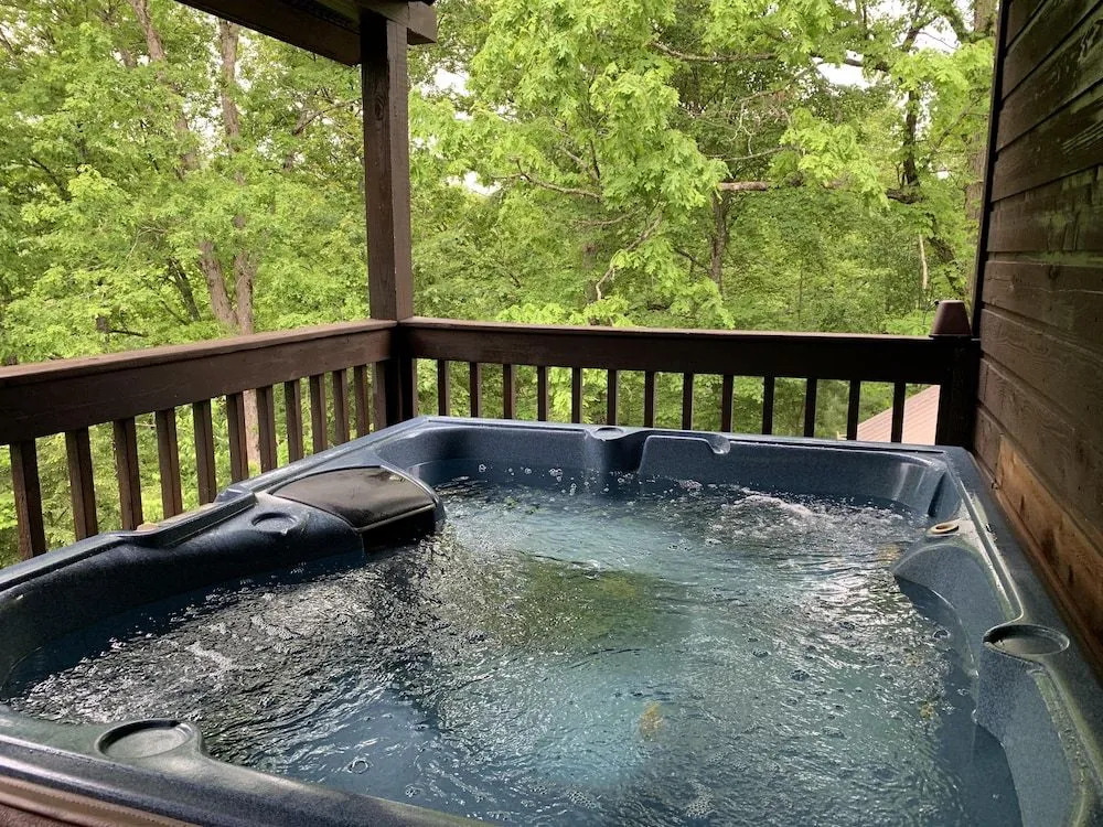 Bearly Visible - 2 Br Cabin
