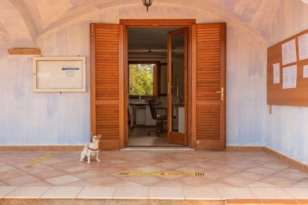 Outstanding Residenze Gallura 1 Bedroom Sleeps 4 Noi0538k
