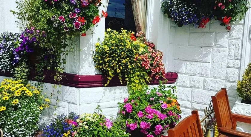 Rembrandt Guest House