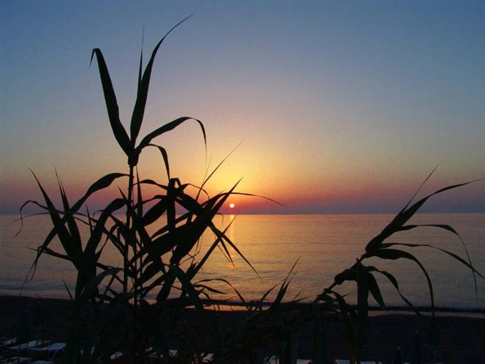 Villa Giorgia Mare, Natura, Sole, Colori E Sapori