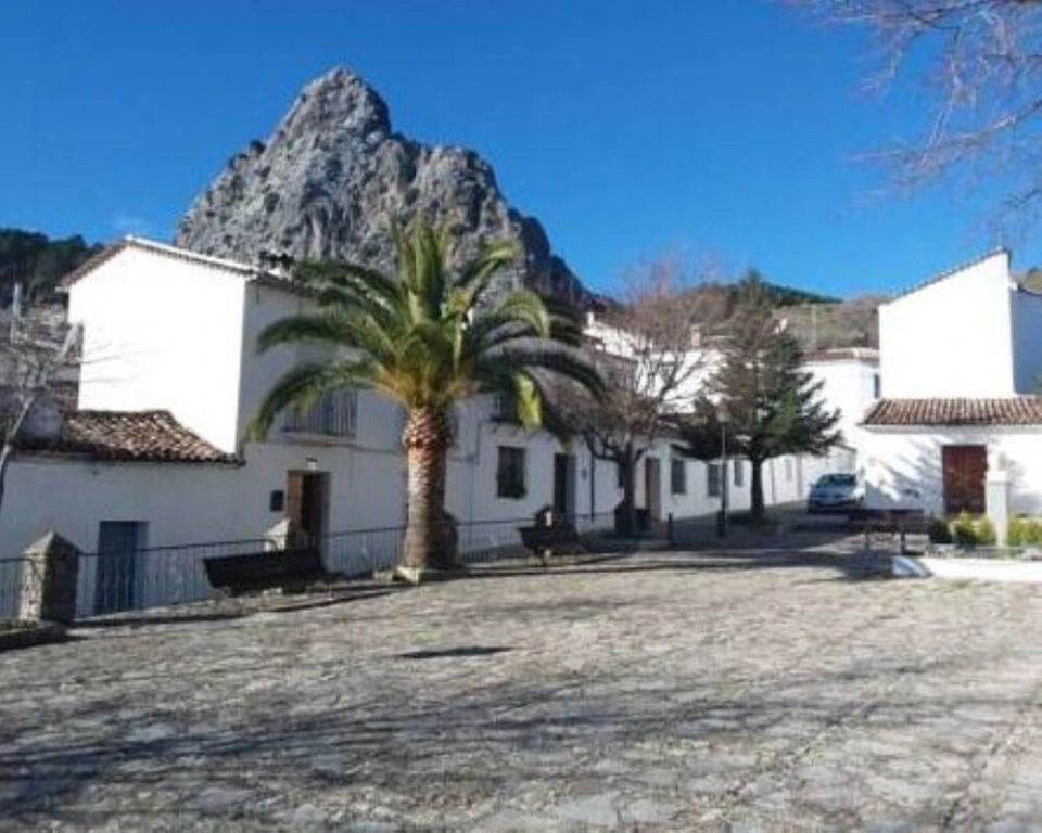 103982 -  House in Grazalema