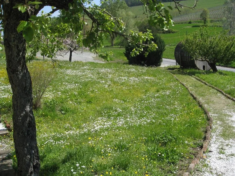 Agriturismo Il Buonvicino