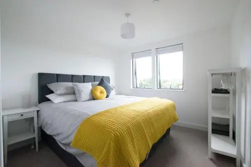 Pen Dinas Cardiff Apartment