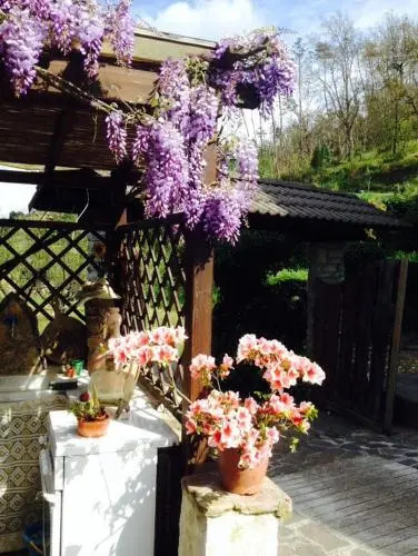 Il Ghiro B&B