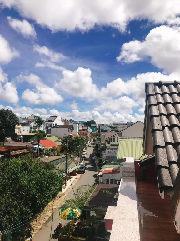 Nấm Home