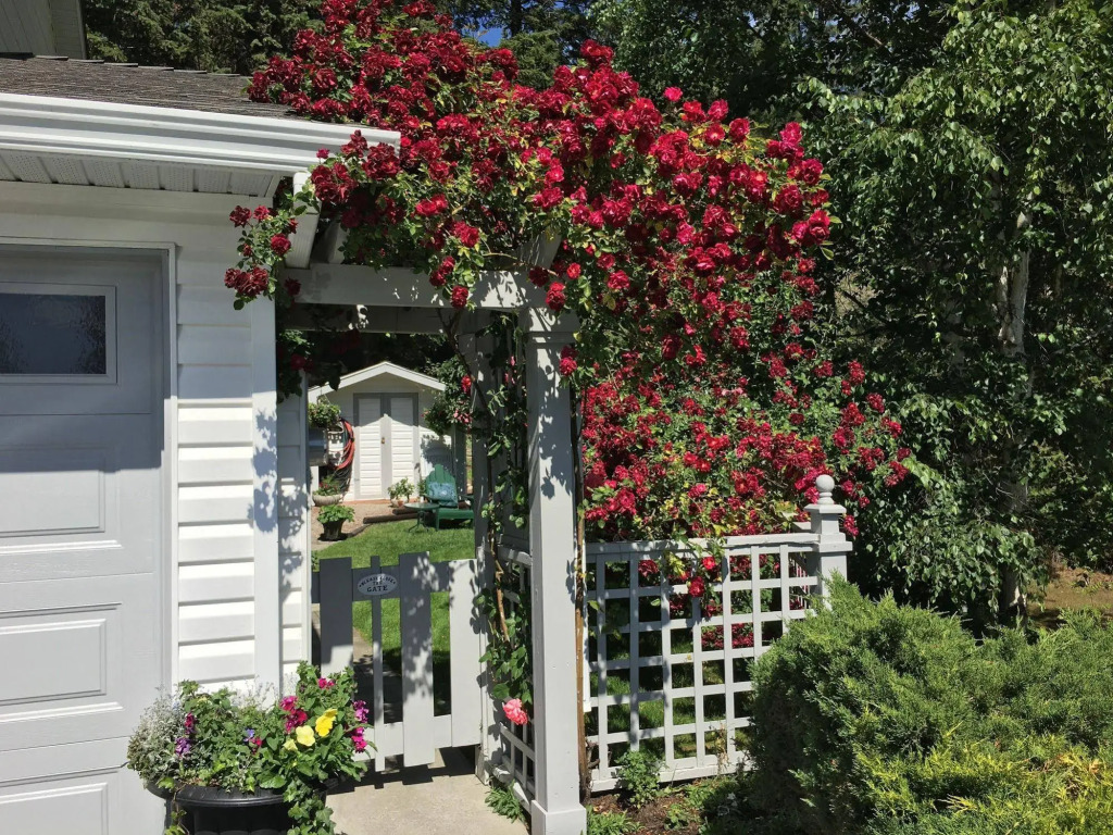 Alexandria House Bed & Breakfast