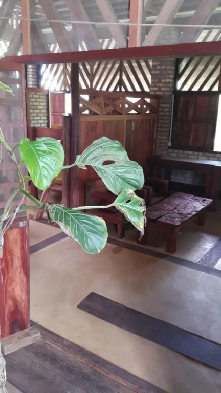 Casa de los Micos Leticia
