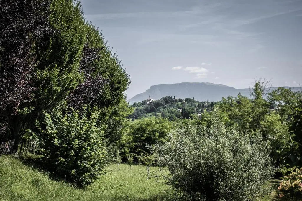 Terre Boscaratto