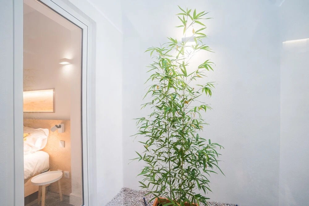Wood Wall & Garden Apartment